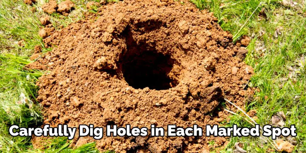 Carefully Dig Holes in Each Marked Spot