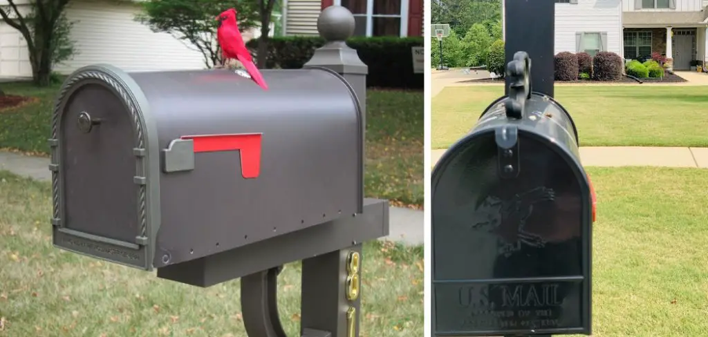 How to Keep Birds From Pooping on Mailbox