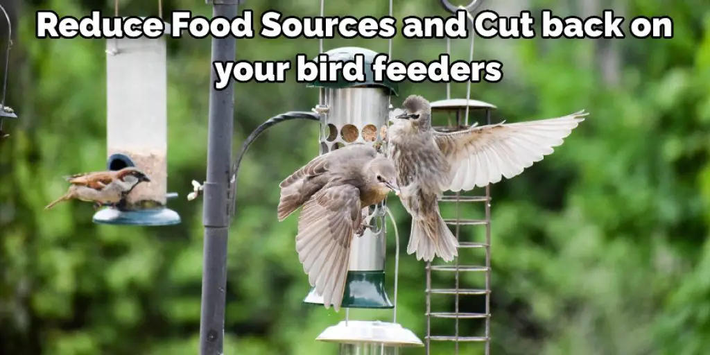 Reduce Food Sources and Cut back on your bird feeders