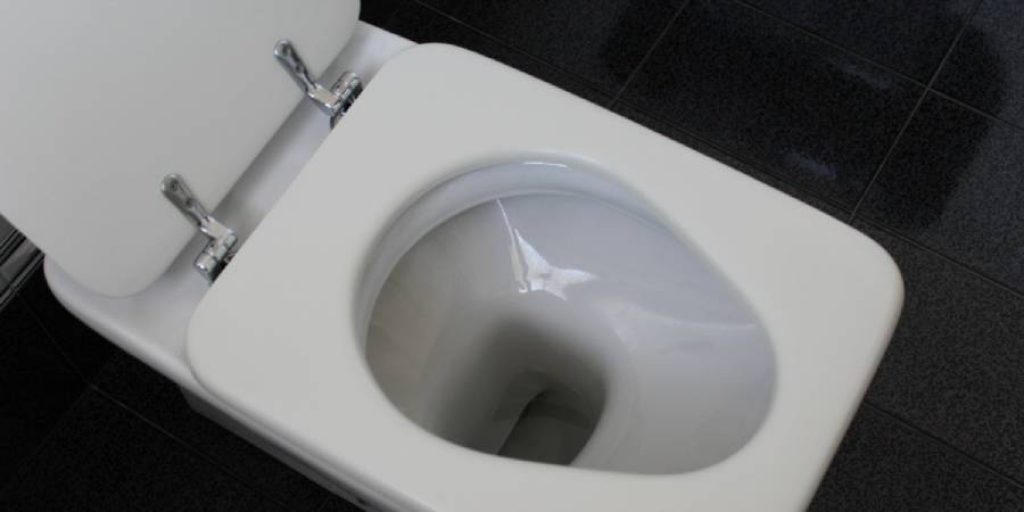 Toilet Seat hinges