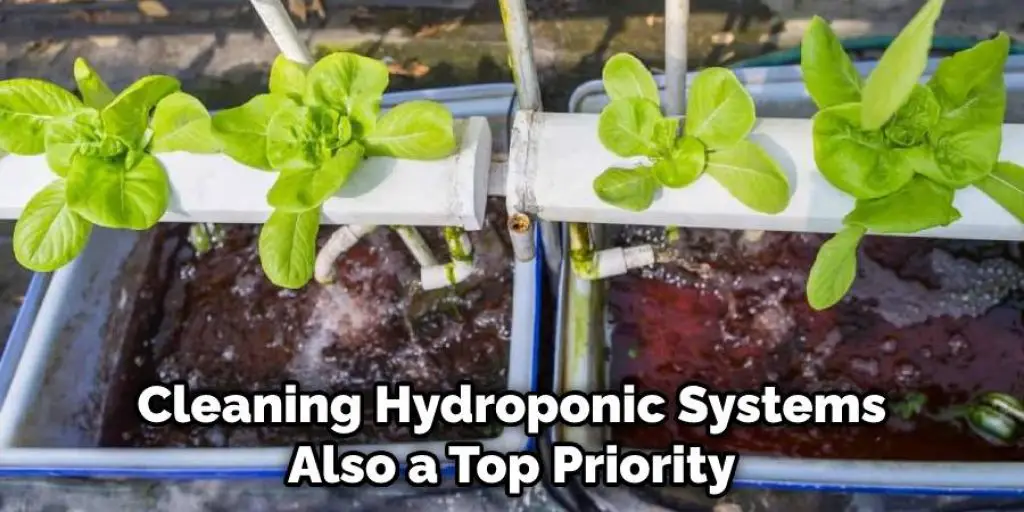 Cleaning Hydroponic Systems