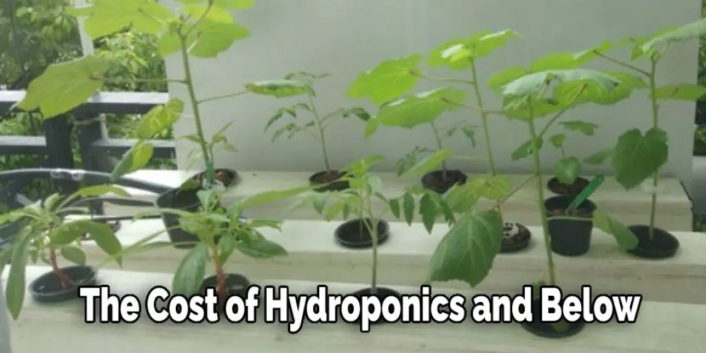 The Cost of Hydroponics and Below