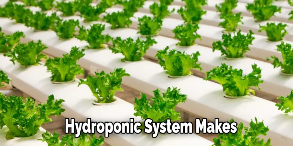  Hydroponic System Makes