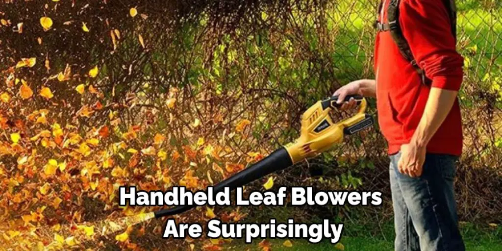 Handheld Leaf Blowers  Are Surprisingly