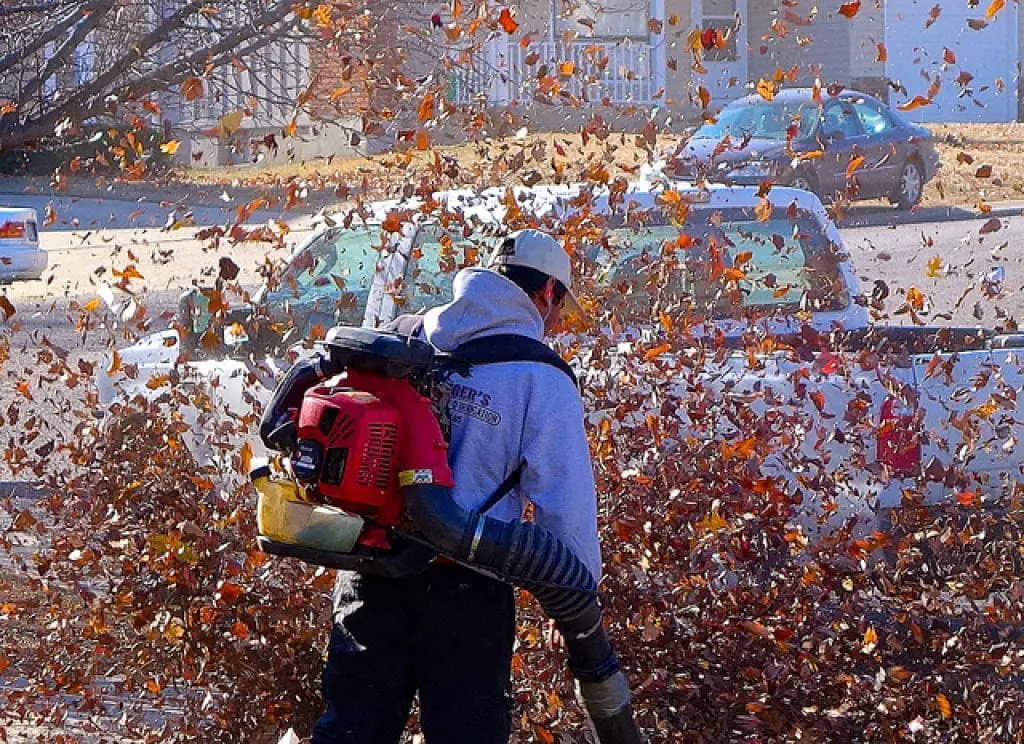Best Gas Leaf Blower for the Money