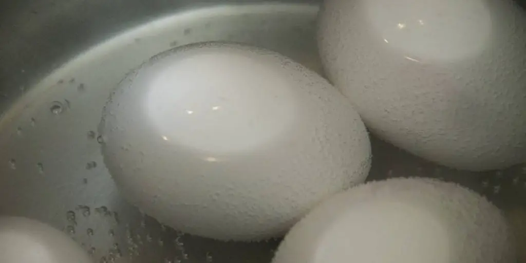 egg in the hot or pre-boiled water