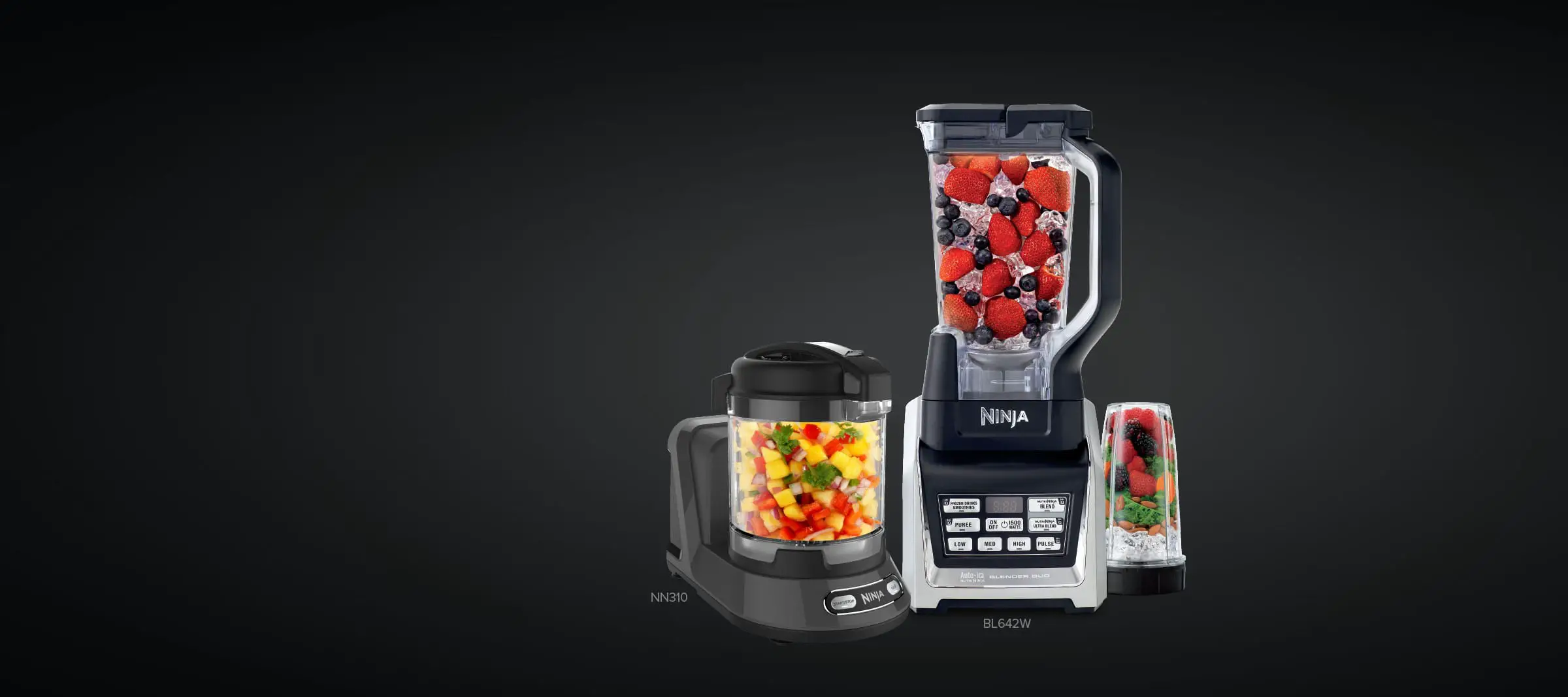 best blender for smoothies with ice