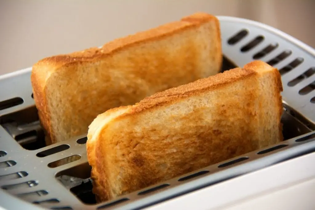 Choosing the Best Toaster for Your Home