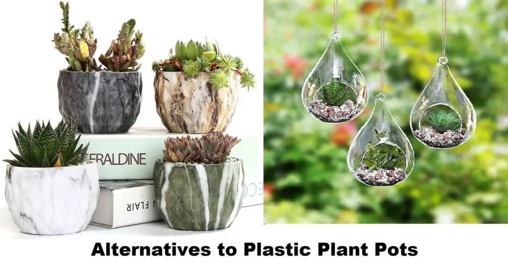 Alternatives to Plastic Plant Pots
