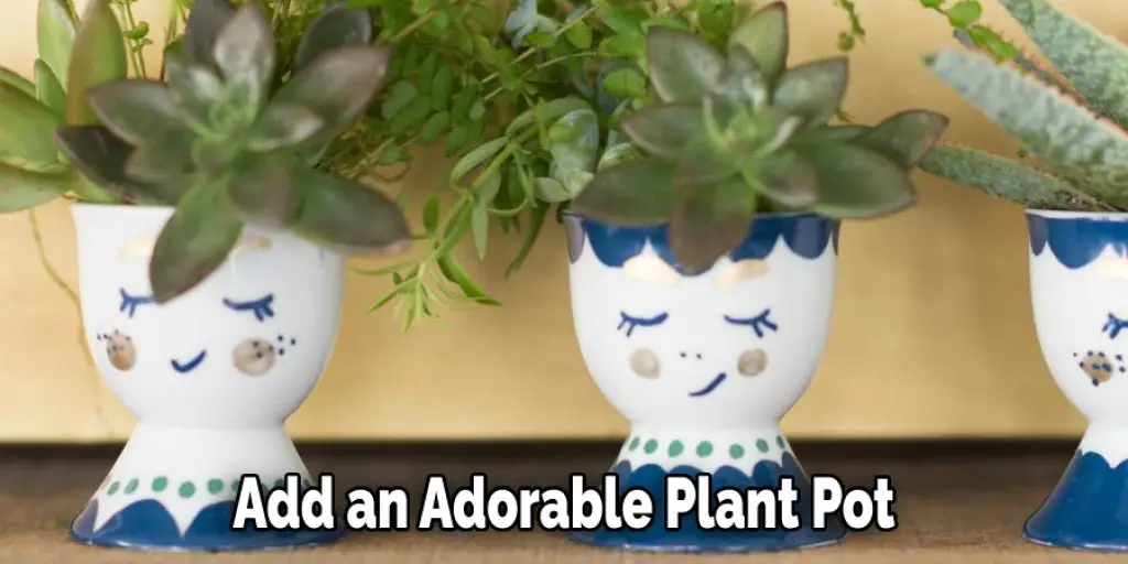 Add an Adorable Plant Pot