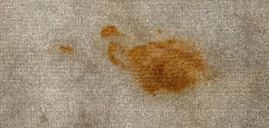 How to Get Oil Based Wood Stain Out of Carpet