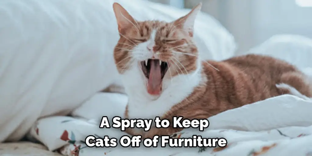 A Spray to Keep Cats Off of Furniture