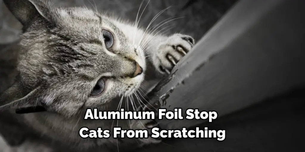 Aluminum Foil Stop  Cats From Scratching