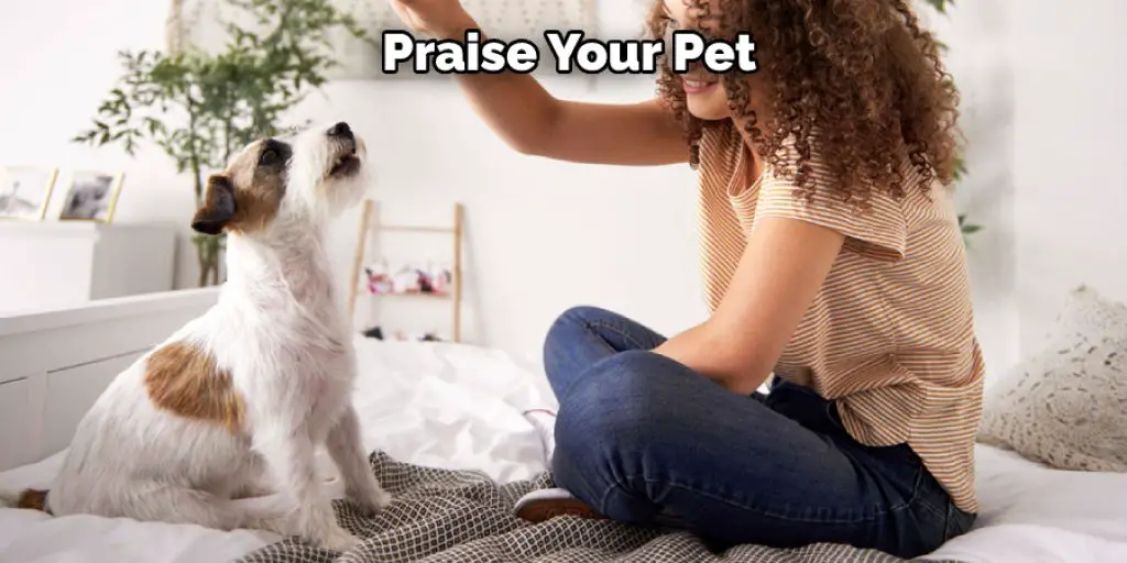  Praise Your Pet