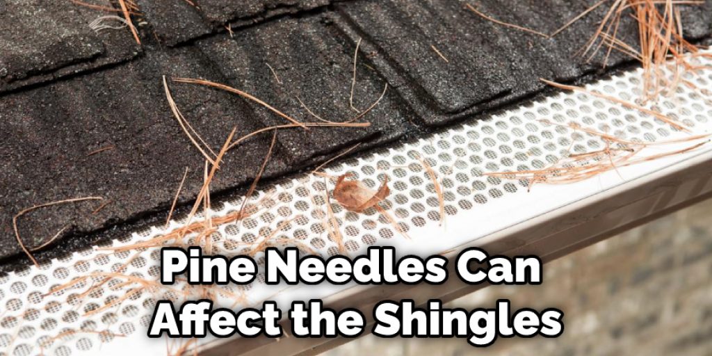 Pine Needles Can Affect the Shingles