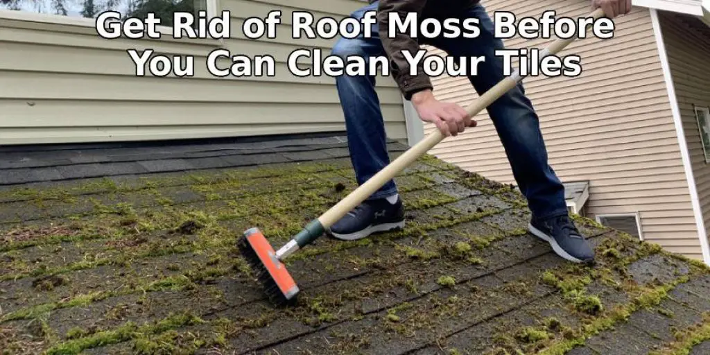 Get Rid of Roof Moss Before You Can Clean Your Tiles