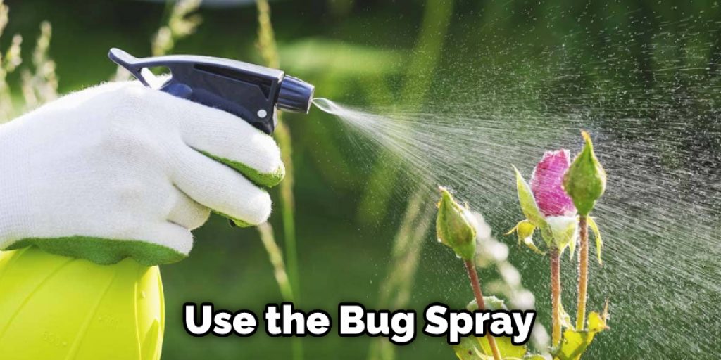 Use the Bug Spray