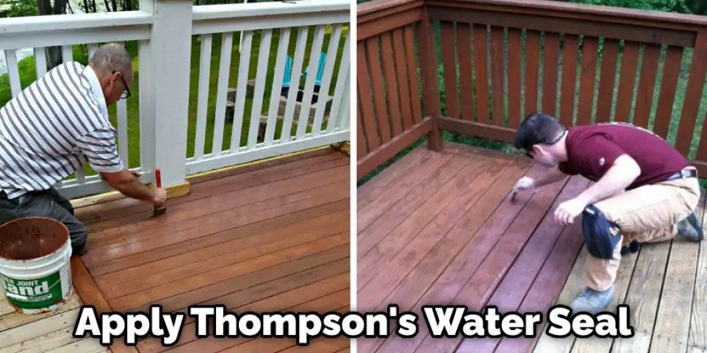 Apply Thompson's Water Seal