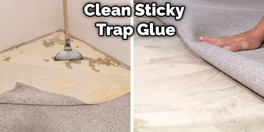 Clean Sticky Trap Glue From Carpet