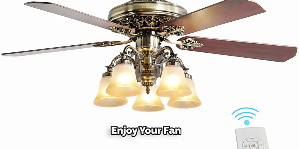 Enjoy Your Fan