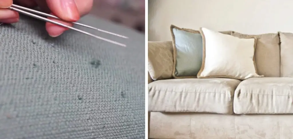 How to Fix Cat Scratches on a Microfiber Couch