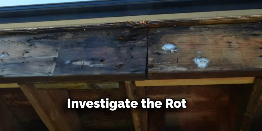Investigate the Rot