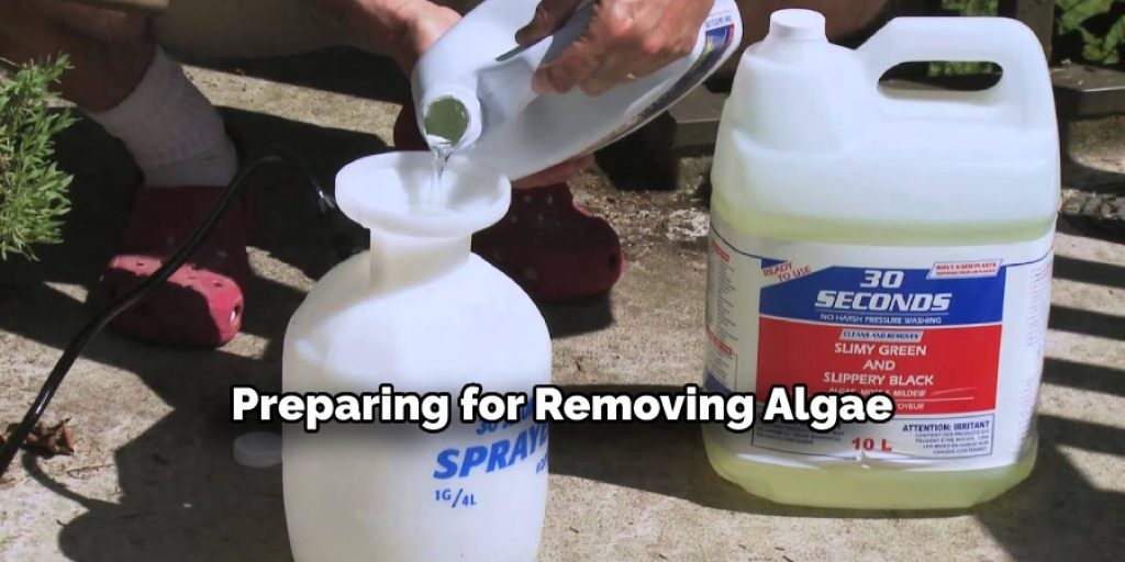 Preparing for Removing Algae