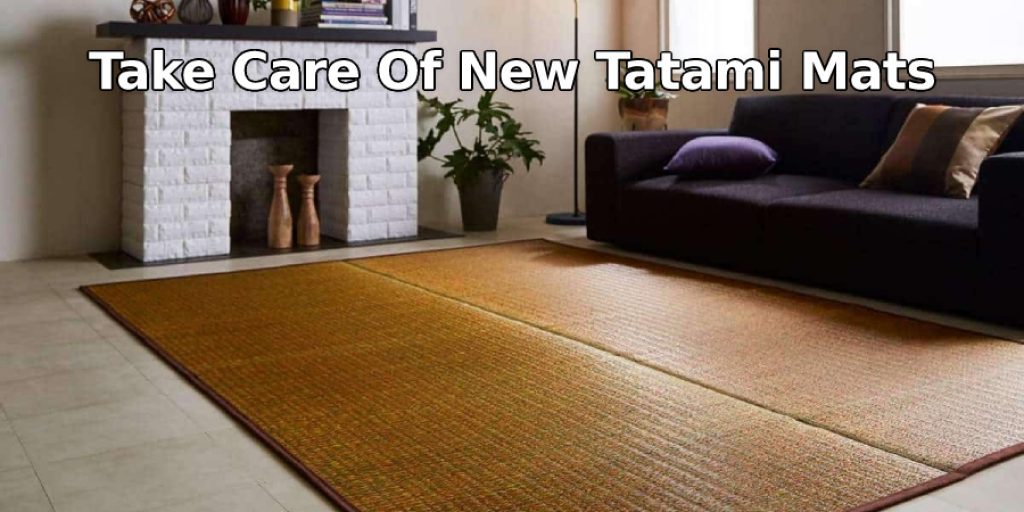 Take Care Of New Tatami  Mats