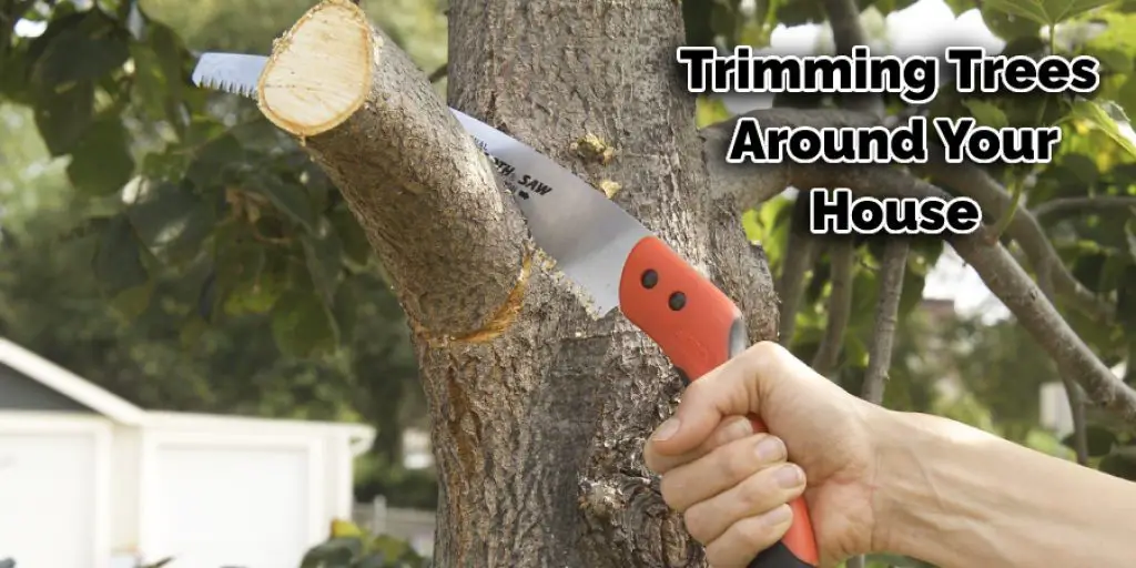 Trimming Trees Around Your House