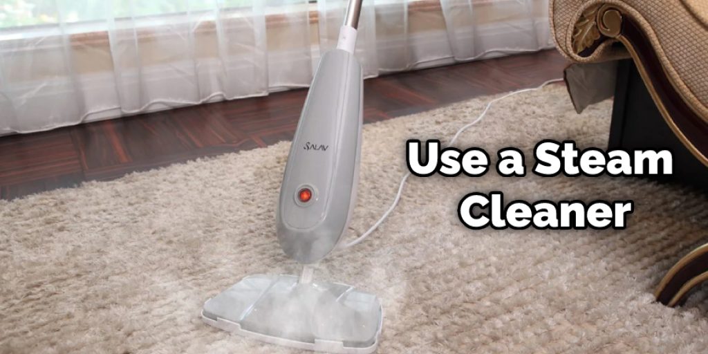 Use a Steam Cleaner