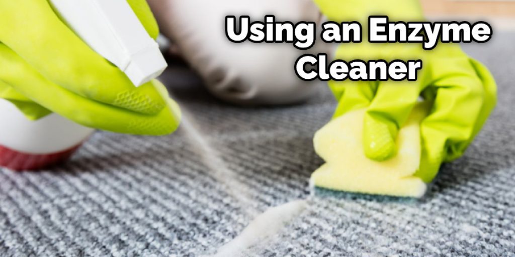 Using an Enzyme Cleaner to Clean the Carpet