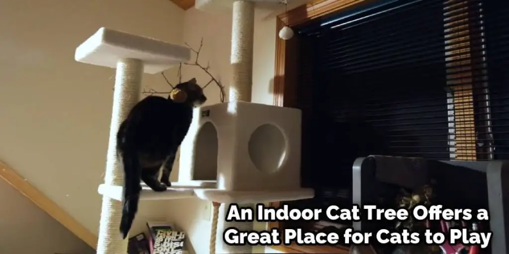 A Cat Tree in a Small Apartment