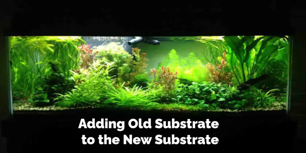 Adding Old Substrate to the New Substrate