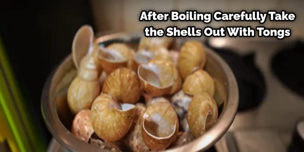 After Boiling Carefully Take the Shells Out With Tongs