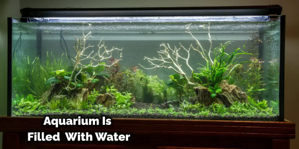 Aquarium Is Filled With Water
