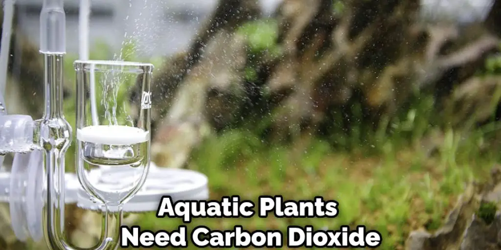 Aquatic Plants Need Carbon Dioxide