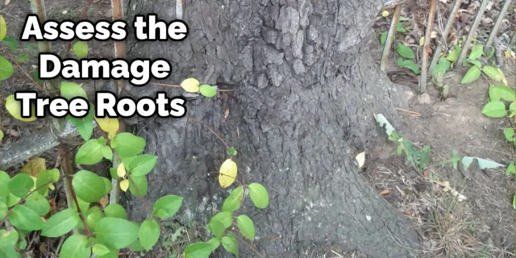 Assess the Damage Tree
