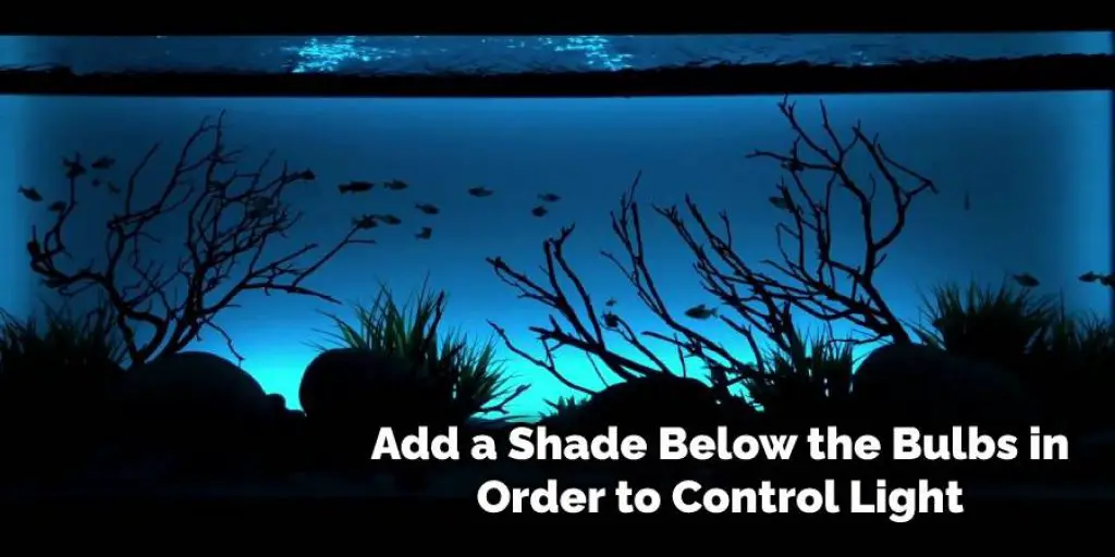 Add a Shade to Control Light