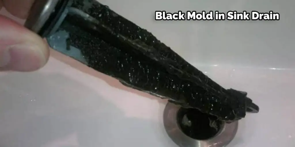 Black Mold in Sink Drain