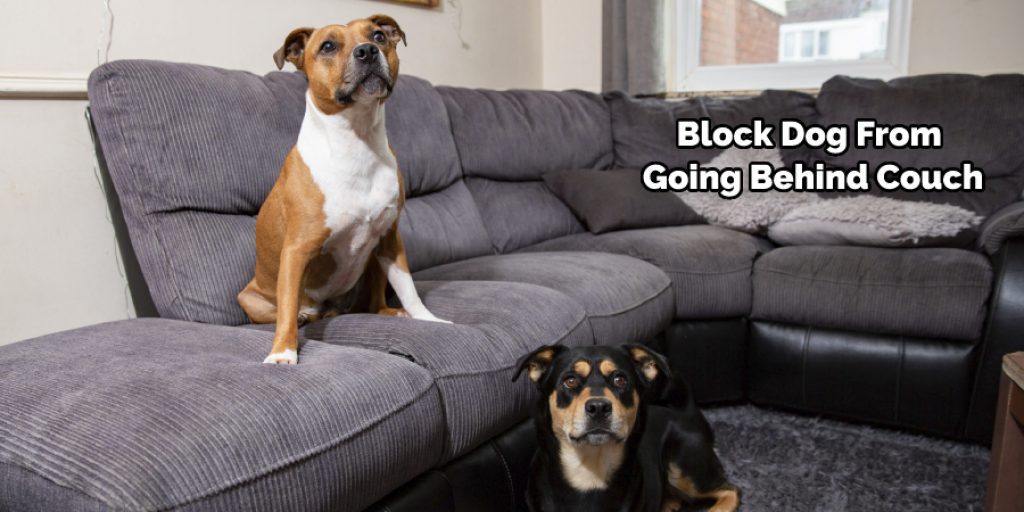 Block Dog From Going Behind Couch