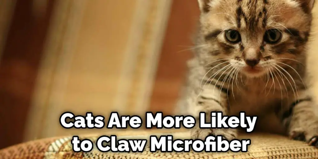 Cats Are More Likely to Claw Microfiber