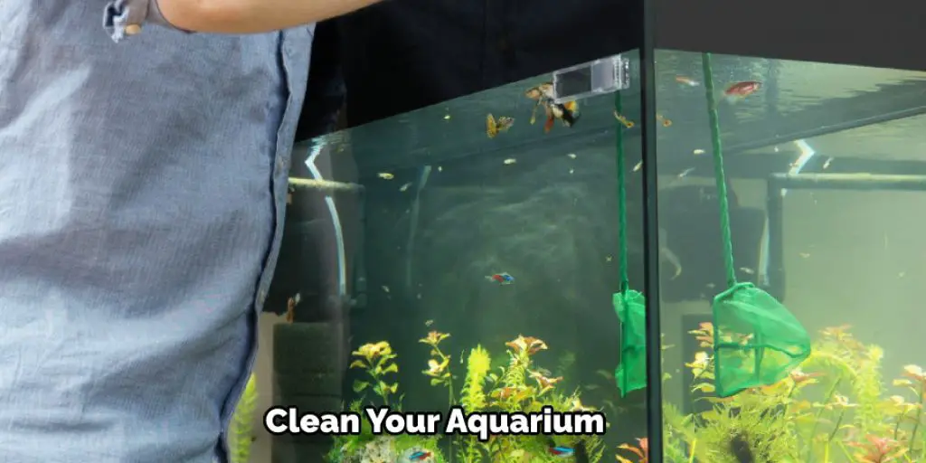 Clean Your Aquarium