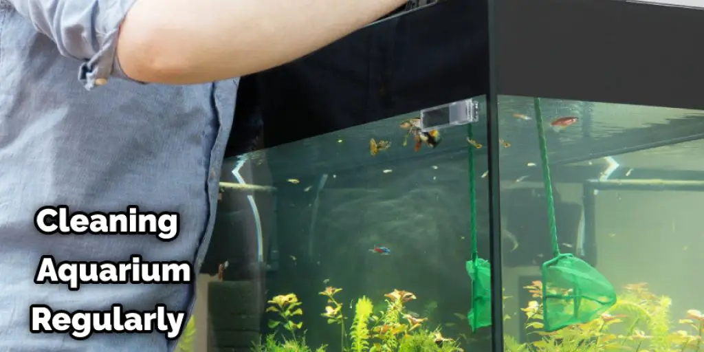 Cleaning  Aquarium Regularly
