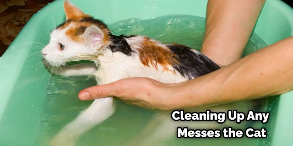 Cleaning Up Any Messes the Cat