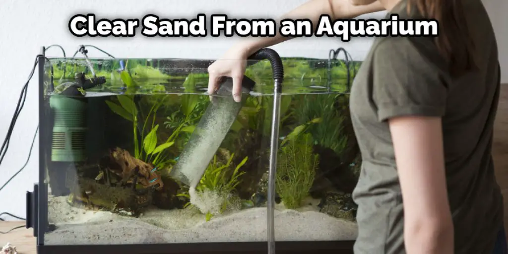 Clear Sand From an Aquarium