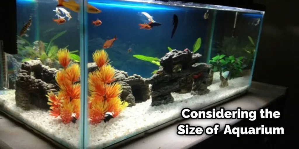 Considering the Size of  Aquarium