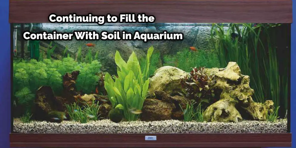 Continuing to Fill the Container With Soil in Aquarium