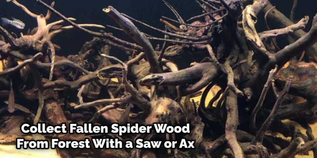 Creating Spider Wood