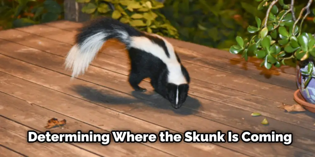 Determining Where the Skunk Is Coming