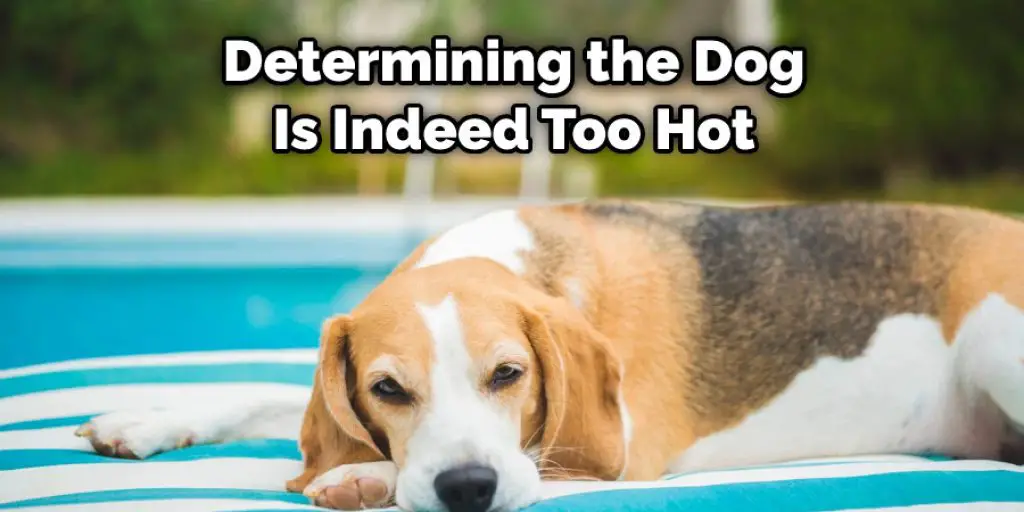 Determining the Dog Is Indeed Too Hot